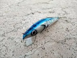 Blue Spinner